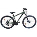 Energy Enigma 29" Pro - Green / Black Matt (24sp. - Shimano Hydraulic Φρένα)